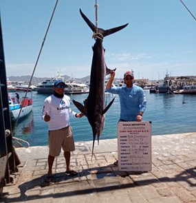 Marlin fishing - Cabo san Lucas