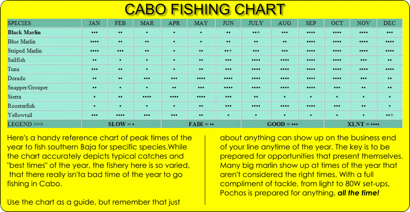 Cabo Fishing Season Chart